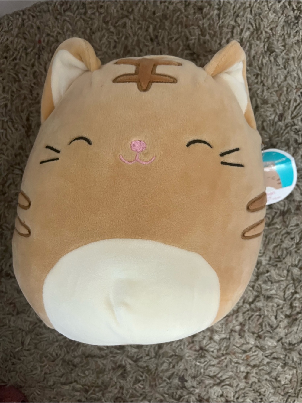 Squishmallow! Cat- Nathan🤍